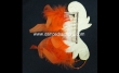 02 Gold metal comb (around 8cm x 4cm)